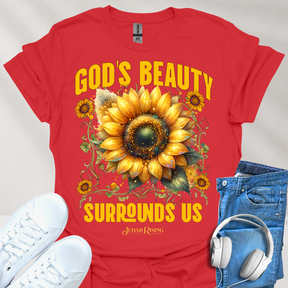 God's Beauty Surrounds Us