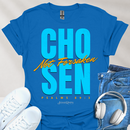 Chosen Not Forsaken